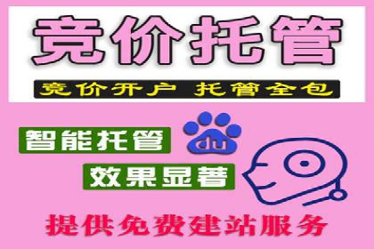 SEM广告投放策略案例分析